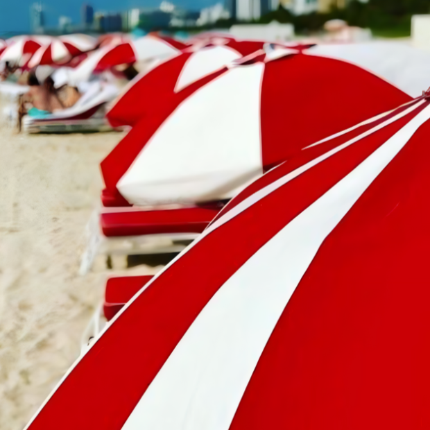 Beach Umbrella - Woolly